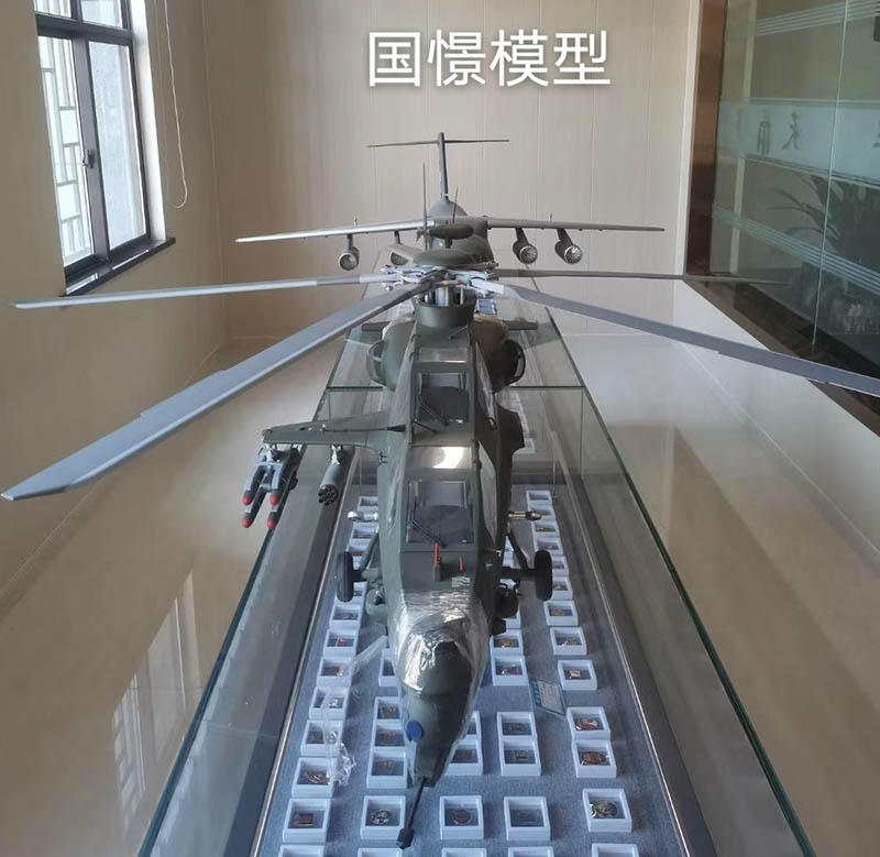 惠州飞机模型