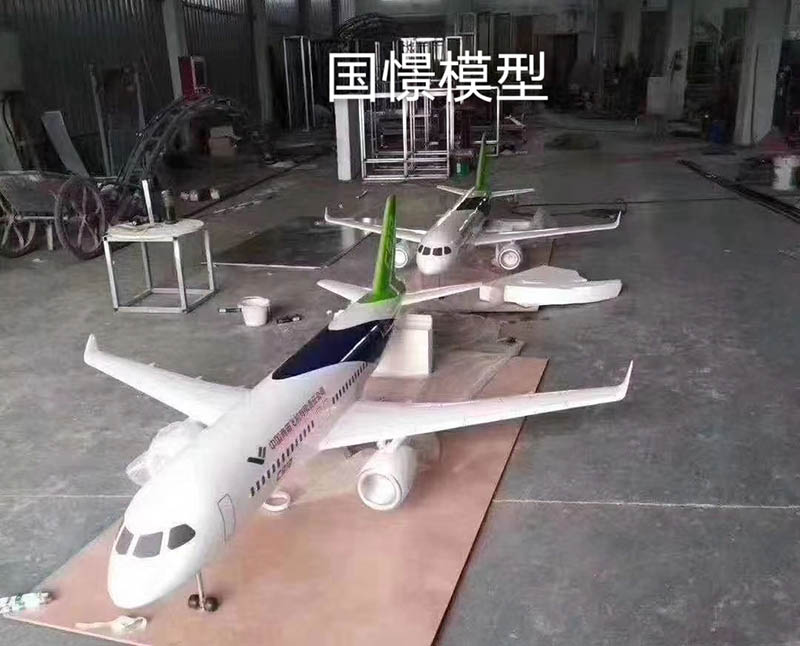 惠州飞机模型