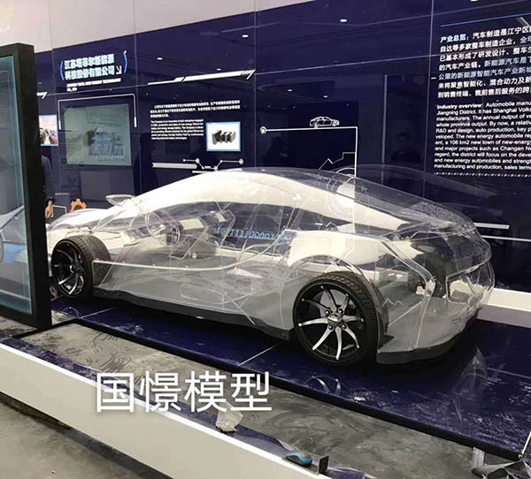 惠州透明车模型